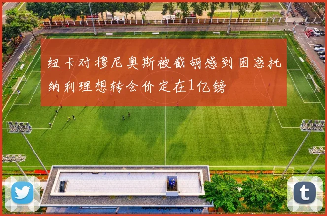 纽卡对穆尼奥斯被截胡感到困惑托纳利理想转会价定在1亿镑