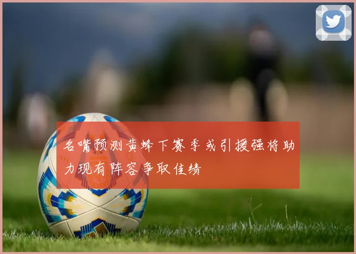 名嘴预测黄蜂下赛季或引援强将助力现有阵容争取佳绩